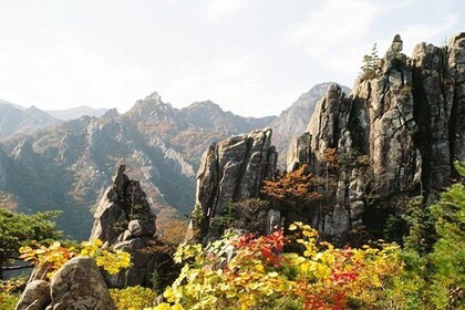 Private Hiking tour in Seorak National Park with Korean authentic chicken s...