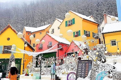 3day Korea winter private tour to Nami, Ski Resort and Ice Fishing Festival