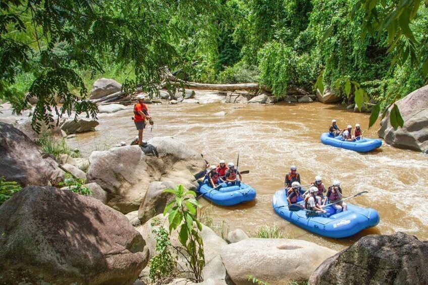 Cruise down a jungle river