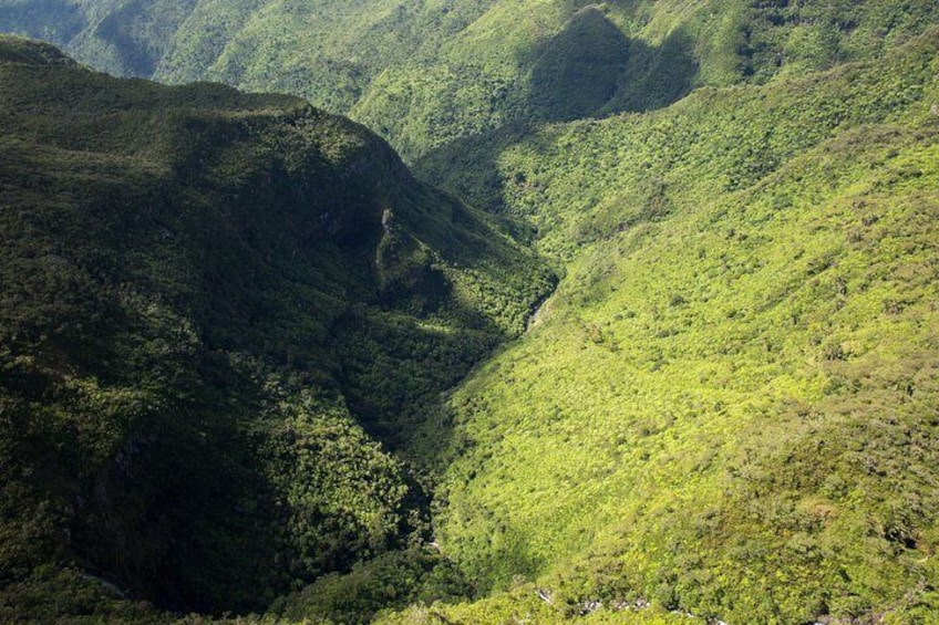 Black River Gorges