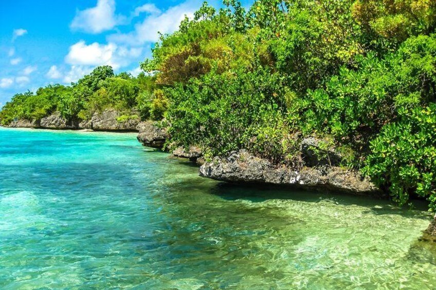 Ile aux Aigrettes Island