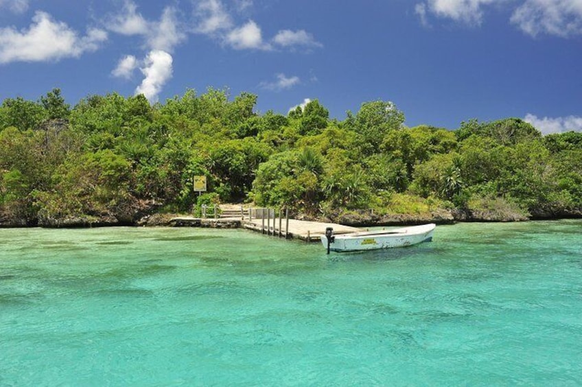 Ile aux Aigrettes Island