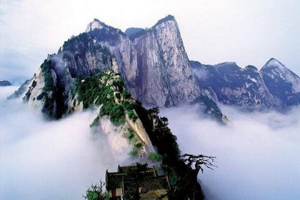 Private Customisable Day Tour of Mountain Huashan with Entrance Cable Shutt...