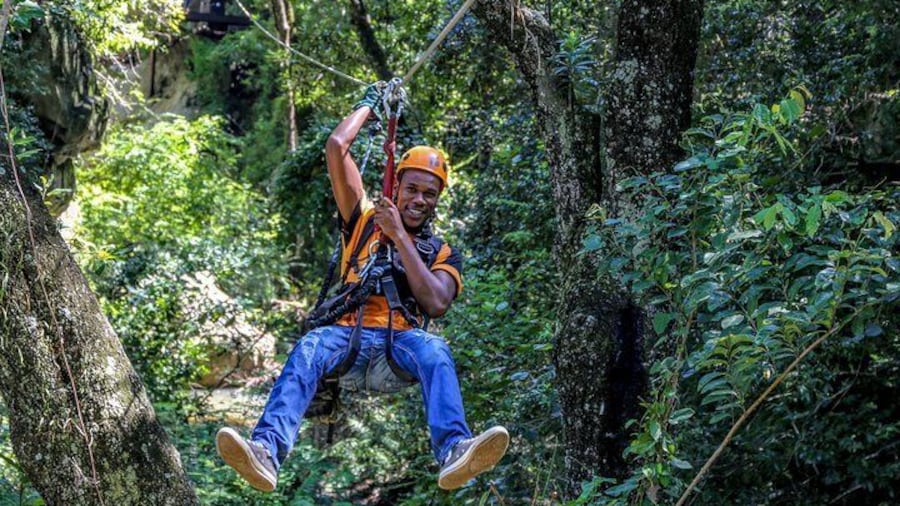 Exploring our indigenous forest