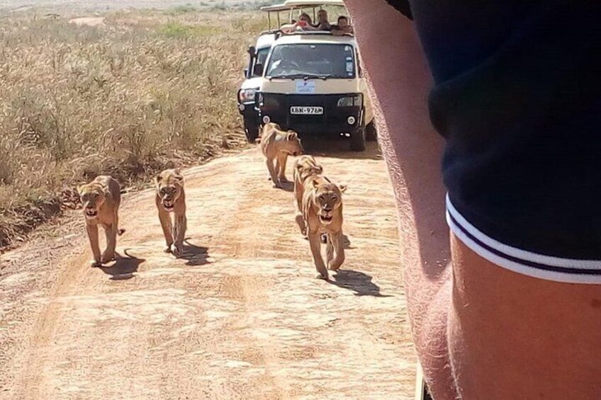 Safari Tour; Nairobi National Park