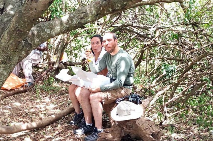 Safari Tour; Nairobi National Park