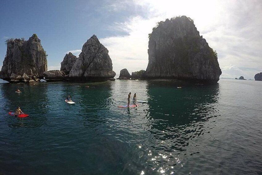 Paddle Boarding 
