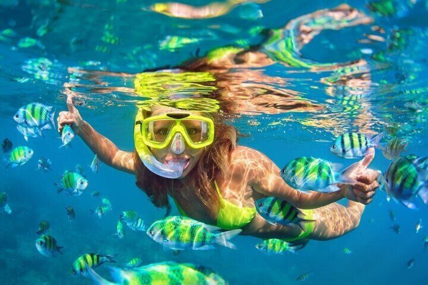 Amazing Phi Phi Islands snorkeling