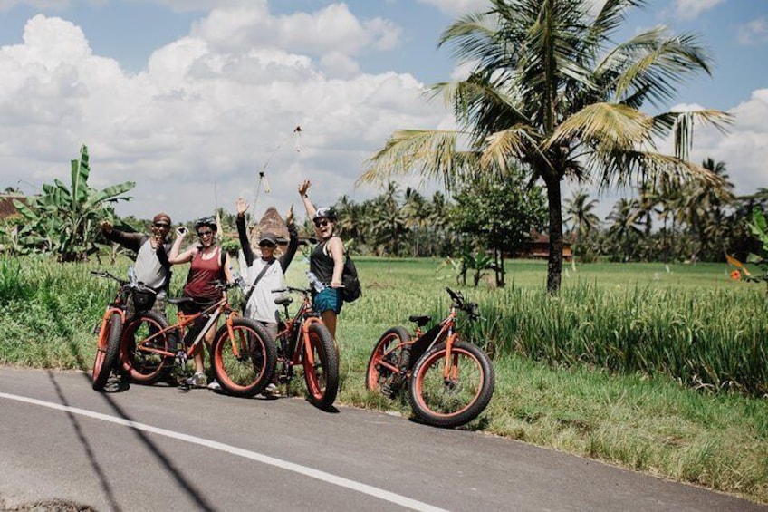 Half-Day Fat Tire Electric Bike Tour from Ubud