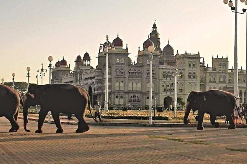 Bangalore Down the Ages Tour