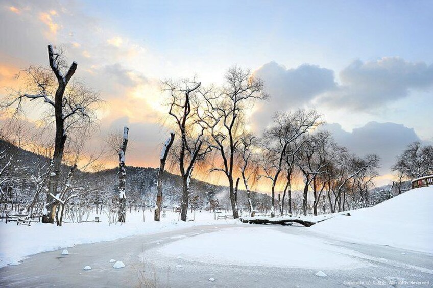 Elysian Ski with Nami Island One Day Tour