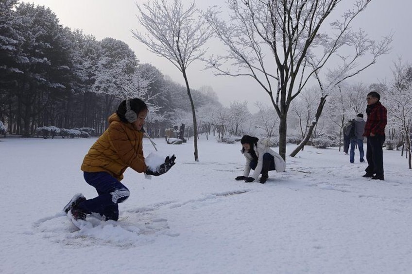 Elysian Ski with Nami Island One Day Tour