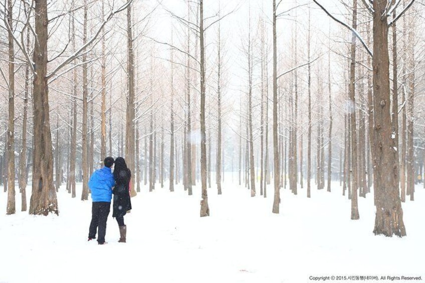 Elysian Ski with Nami Island One Day Tour