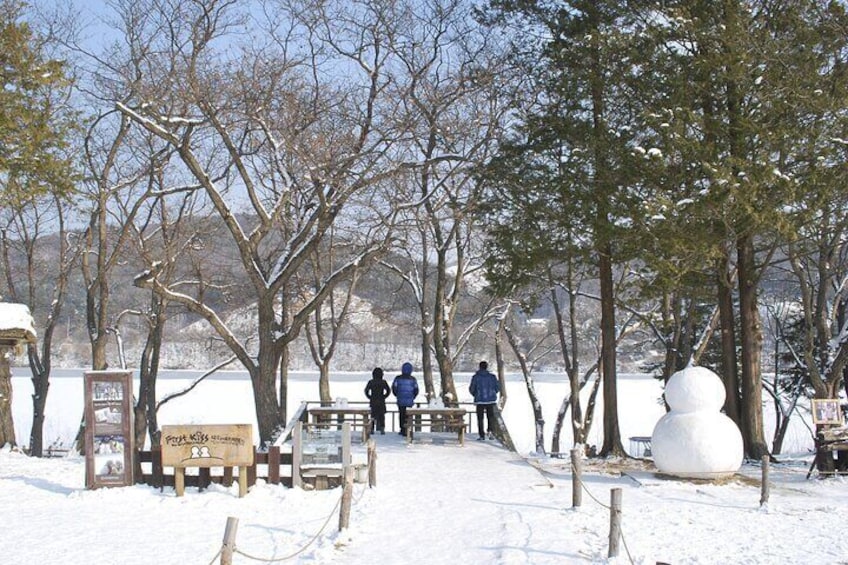 Elysian Gangchon Ski Resort with Nami Island Day Tour from Seoul