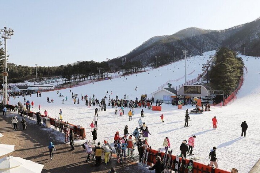 Jisan Forest Ski Resort one day tour with Basic Lesson