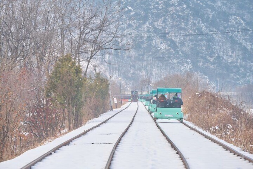 Nami Island & Railbike & Strawberry Trip (+ Opt. Korean Garden)