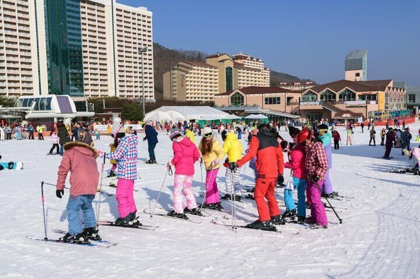 Vivaldi Park Ski Resort with Eobi Ice Valley Day Tour from Seoul