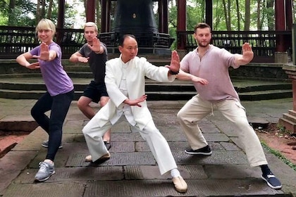Chengdu Tai Chi Martial Art Class in the Morning