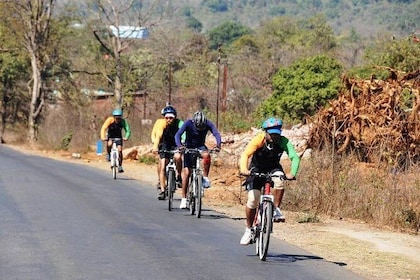 Guided Bicycle Tour of Bangalore's Countryside