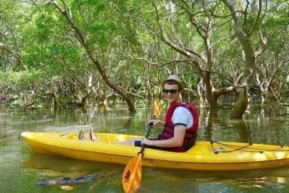 Mangroves Magic - Goa Kayaking Experience