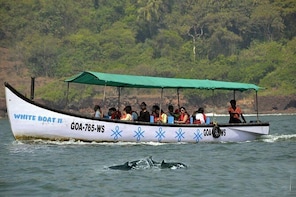 Small Group Dolphin Watching Expedition In Goa- South