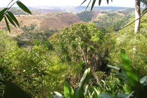 Diego Suarez Day Tour of Antsiranana the Amber Mountains and the 3 Emerald ...