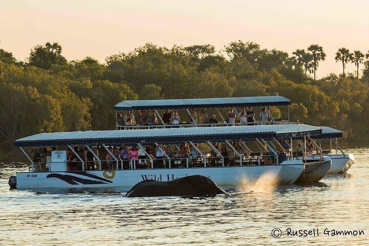Sundowner Cruise on Zambezi River