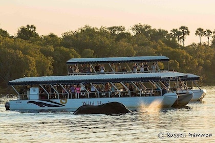 Sundowner Cruise en el río Zambezi (Zimbabwe)