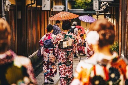 Kyoto Downtown Half Day Walking Tour (Kiyomizu Temple & Gion & Nishiki Mark...