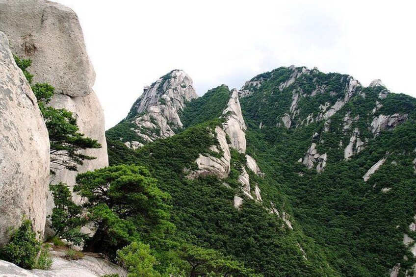 The Hidden Wall trail, Mt.Bukha