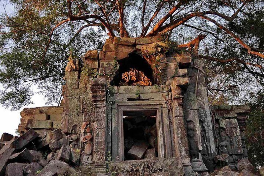 Beng Mealea Temple