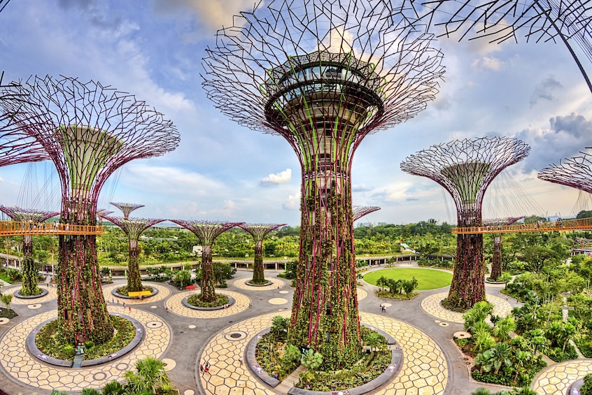 Gardens by the Bay