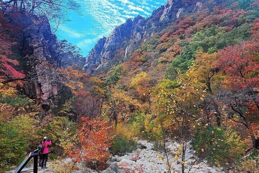Mt. Seorak fall foliage season