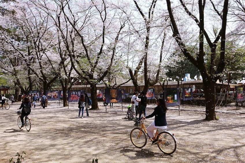 Nami Island