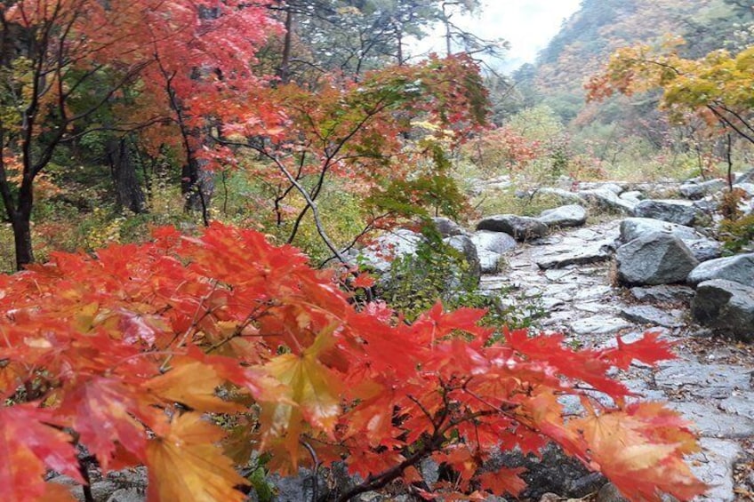 Mt. Seorak