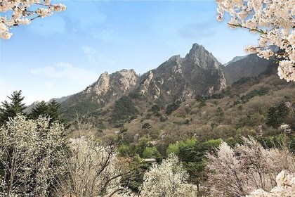 Mt Seorak+Nami Island+Garden of Morning Lugn dagstur från Seoul