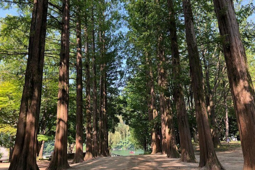 Nami Island