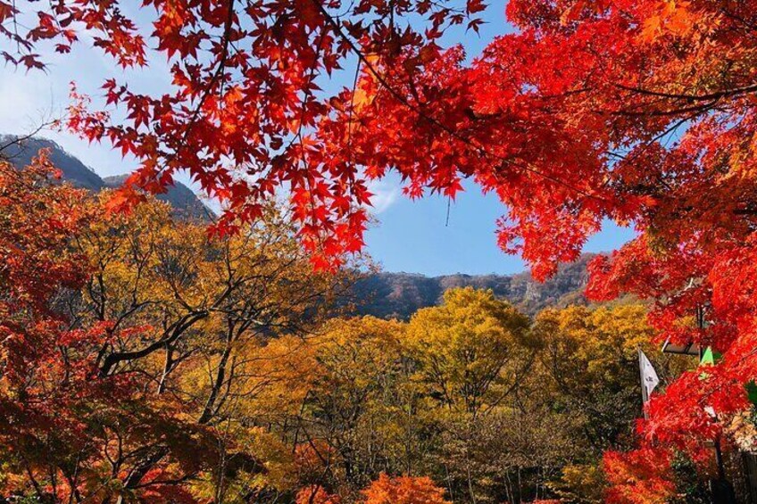 Mt. Naejang