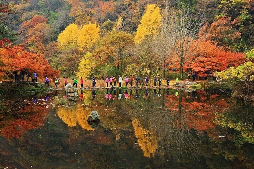 Mt. Naejang