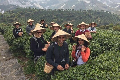 Private Tour-Yangshuo Seven Fairies Peak tea plantation and Xianggong hill
