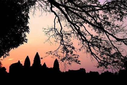 Sunrise Angkor Wat Half-Day & 3 Main Temples (Join-in Tour)