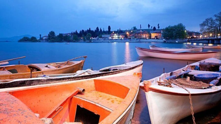 Kuala Selangor Tour with Fireflies Boat Ride and Seafood Dinner