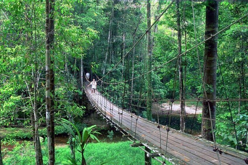 Lambir National Park