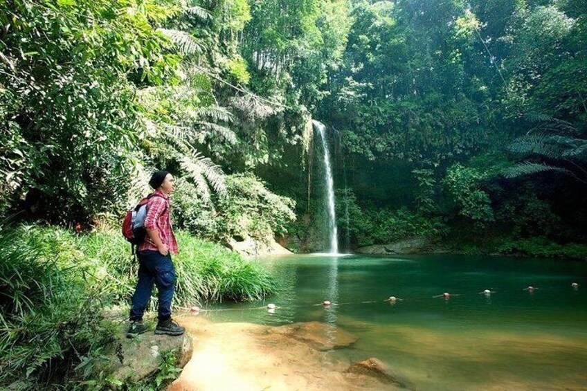 Half-Day Lambir Hills National Park Tour from Miri