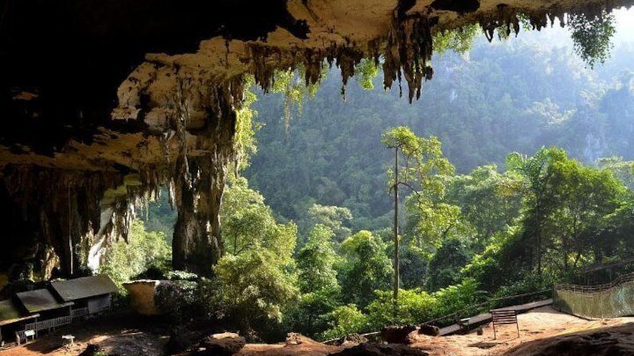 Niah Cave