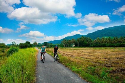 Half-Day Guided Bicycle Tour of Penang Countryside