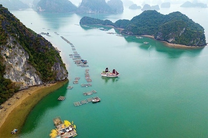 Croisière d'une journée dans la baie d'Ha Long - meilleures ventes : kayak,...