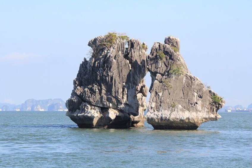 Chicken kissing rock