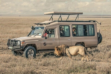 Tanzania Wildlife Encounters - 6 Days