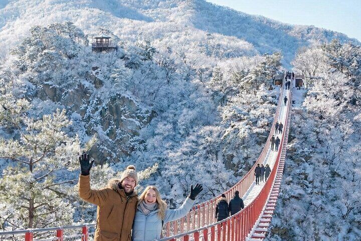 From Seoul: Defector Talk & DMZ Highlights – A Rare Human Story